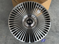 Li Auto R21 — кованый диск RGW, WT-RGW2210-1