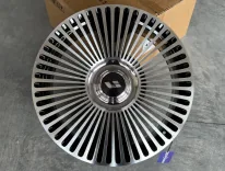 Li Auto R21