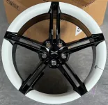 Denza D9 R20